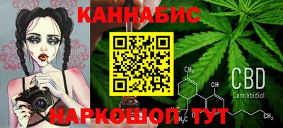 прущие грибы Кингисепп