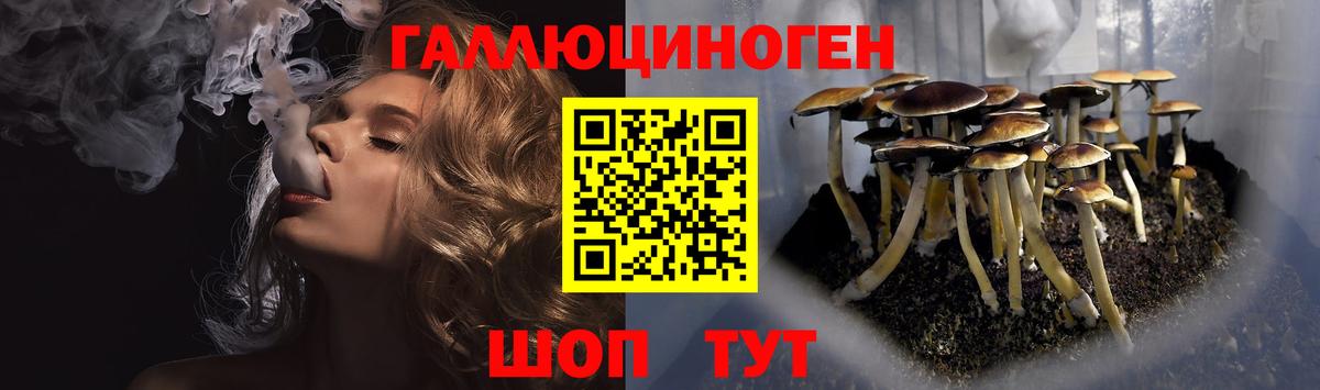 Шелехов  Псилоцибиновые грибы прущие грибы  Вход с VPN  Псилоцибиновые грибы мухоморы 